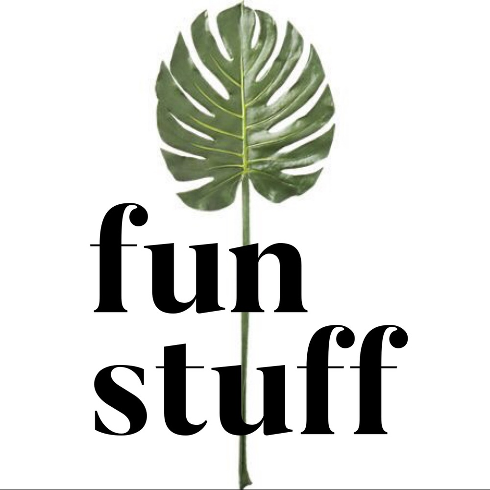 🌴Fun Stuff!